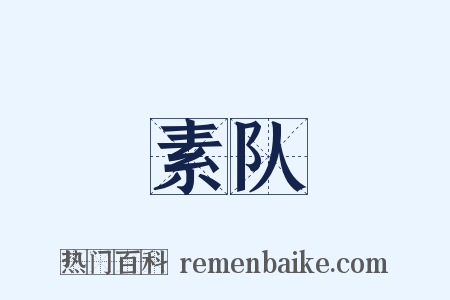 素队是什么意思的图片